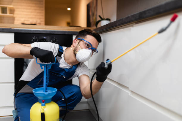Best Affordable Pest Control Services  in Sandoval, IL
